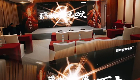 公司企業(yè)年(nián)會(huì)策劃年(nián)會(huì)會(huì)場(chǎng)布置23